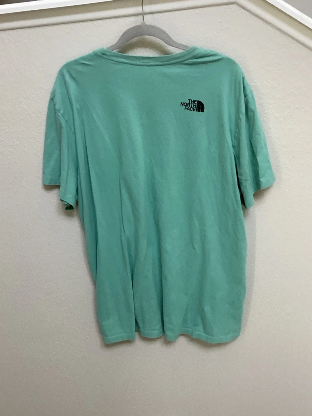 The North Face Mint Green Logo Graphic Tee
